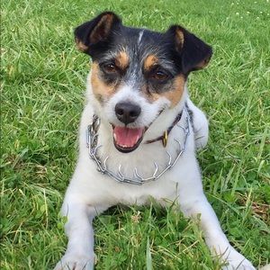 Meet your Posher, Christian